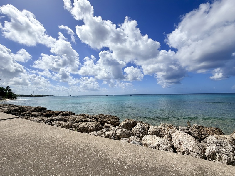 3 bed Beach View, Ocean View For Sale in St. Peter, - thumb 25